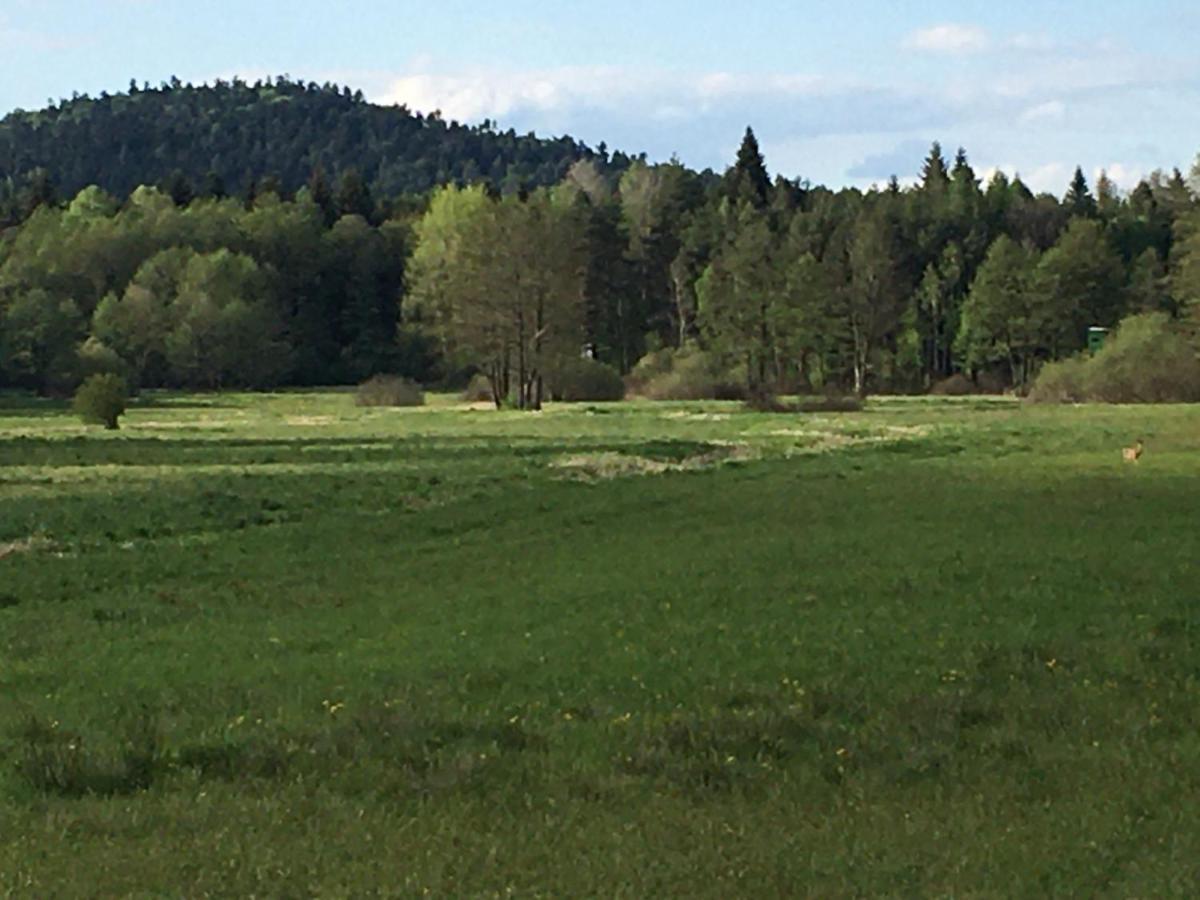 Lesny Dworek Snochowice Exteriör bild